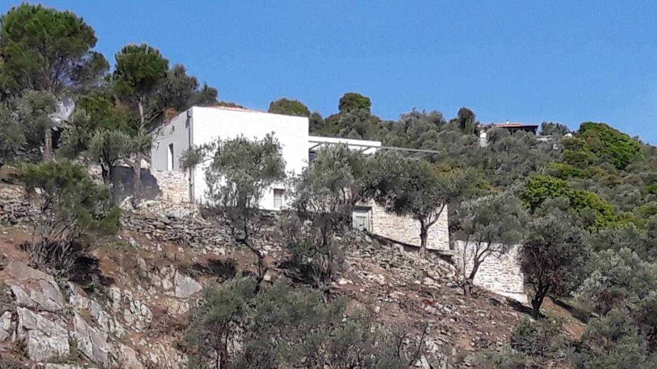 House Λ Villa Moni Evaggelistrias Exterior foto